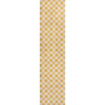 Aimee Traditional Cottage Checkerboard Indoor/Outdoor Area Rug